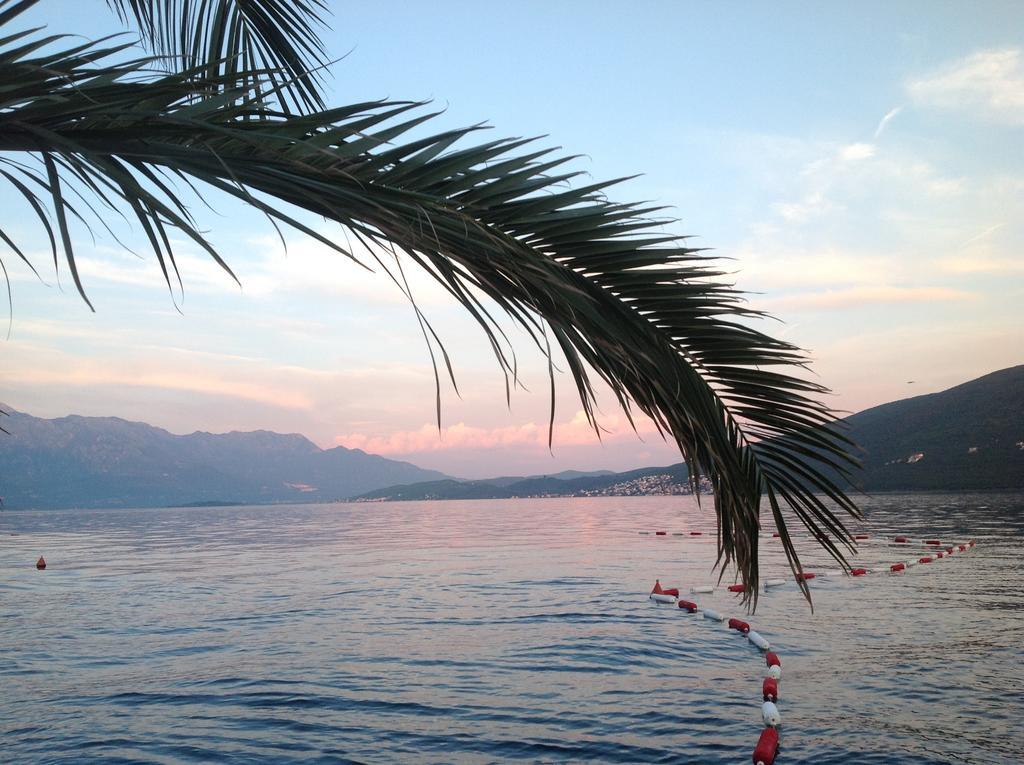 Villa Alla Bed And Breakfast Herceg Novi Exterior photo